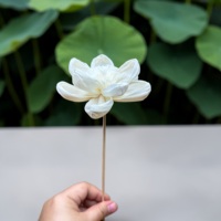 VADEE Kerajinan Tangan Bunga Gardenia Putih Berkelanjutan dari Kayu Sola 8.5 CM Batang Serat Sesbania Model Thailand VDXXX-074