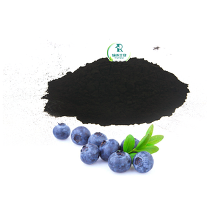Заводская поставка натуральный антоциановый порошок высокого качества натуральный экстракт черники - Product Image 5