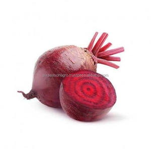 Remolacha Roja Fresca Premium, Calidad de Exportación, Proveedor Mayorista de Remolacha Fresca de Granja de Bangladesh, Six Season Agro - Product Image 5