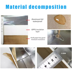 Biểu Tượng Tùy Chỉnh Cá Thịt Rau Trái Cây Xốp Ăn Trưa Cách Điện Vận Chuyển Hộp Lớn Đông Lạnh Sản Phẩm Nhôm Lá Mỏng Miếng Bọt Biển Carton - Product Image 2