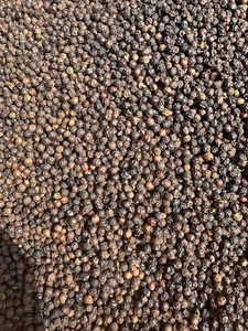 Pimienta Negra de Vietnam, Grado Premium, Granos de Pimienta Secos Naturales, Proveedor de Exportación a Granel - Sra. Tarina - Product Image 2