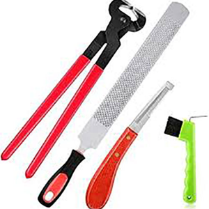 Kit Profesional de Herrador RAICES ENTERPRISES para el Cuidado y Reparación de Patas de Caballos, Juego de Instrumentos Veterinarios Reutilizables y Duraderos, el Mejor - Product Image 1