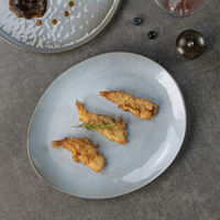 Assiettes de Présentation en Porcelaine Grise Yayu pour Sushi, Steak et Plats d'Accompagnement – Vente Directe Usine, Vente en Gros pour l'Europe