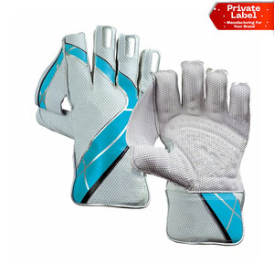 Gants de gardien de cricket en polyéthylène flexible avec inserts, équipement de sécurité ultra-léger pour gardien, protection en fibre pour le cricket - Product Image 1