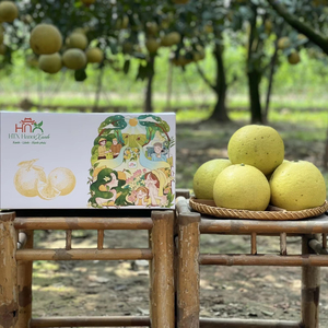 Pamplemousse frais biologique Hanoi Xanh Cooperative HNX13 DIEN GRAPEFRUIT (BUOI DIEN) VIP 2 Entièrement mûr 12cm Fruits naturels/Carton - Product Image 1