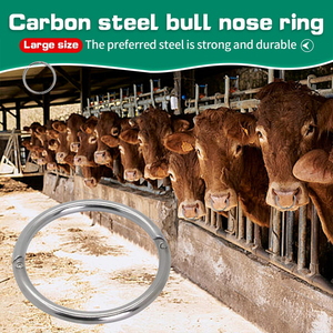 1 pièce Pince de traction nasale en acier au carbone pour bovins (taure, bœuf, vache), matériel d'élevage - Product Image 5