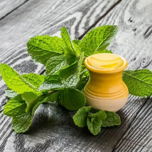 Aceite Esencial de Menta Verde, Etiqueta Privada y Suministro a Granel, Aceite Esencial, Aceite Aromático, Aromaterapia, Grado Puro, Mejor Calidad en India - Product Image 1