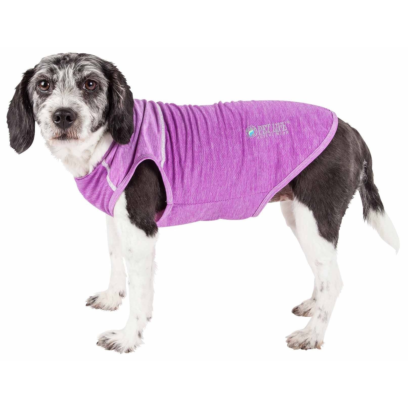 Purple Color