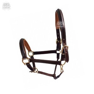 Harnais anglais pour cheval en cuir avec ferrures en laiton et rembourrage, vente en gros - Product Image 3