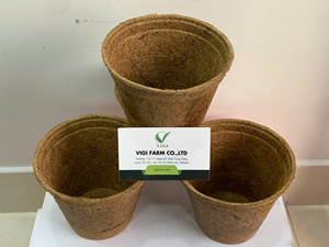 Macetas de Fibra de Coco Orgánica Biodegradables para Plántulas, Vasos de Cultivo de Fibra Natural, Macetas de Coco para Flores, Macetas para Germinación de Semillas - Product Image 6