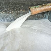 Colle de lamination et de revêtement en latex naturel DRC 60% de haute qualité, de qualité médicale, certifiée ISO 9001:2015, à haute teneur en ammoniac, en provenance du Vietnam, pour la vente en gros