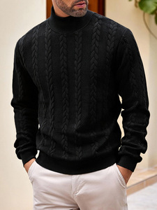 <b>Men's</b> Light Blue Knitted Turtleneck Pullover Regular Fit Casual Autumn Wear Solid Color Long Sleeve <b>Sweater</b> - Product Image 2