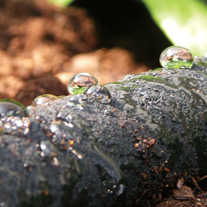 Conector de Manguera de Goma para Jardín Hallgrand HG06200 de 1/2\" (12.7mm) Estándar BS - Product Image 2