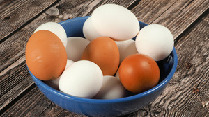 ไข่ไก่สดคุณภาพสูง สีน้ำตาล สำหรับรับประทาน น้ำหนัก 35-42 กรัม แช่เย็น ราคาถูก จำนวนมาก จัดส่งรวดเร็ว มีสินค้าพร้อมขาย - Product Image 4
