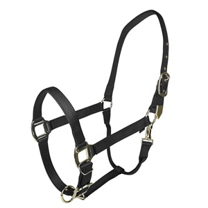 En gros, Mini-voile en nylon pour cheval miniature, réglable, avec ferrures en laiton de qualité supérieure, pour l'entraînement, OEM - Product Image 5