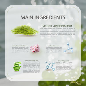 Mejor Proveedor con Garantía B2B, Tónico Facial de Caviar, Cuidado de la Piel, Hidratante, Blanqueador, Calmante, Producto Más Vendido en Malasia, OEM, Suave y Liso - Product Image 3