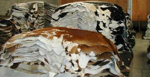พรมหนังแพะธรรมชาติ งานศิลปะตกแต่งบ้าน ลายสัตว์ วัสดุธรรมชาติ - Product Image 5