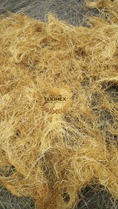 [HOT DEAL SALE OFF 20%] Gracilaria algues rouges faisant de la gélatine du Vietnam de haute qualité et prix bon marché - Product Image 2