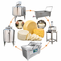 Machine de fabrication de mozzarella MY Petite machine à presser le fromage feta Machine de production de fromage mozzarella