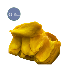 สินค้าขายดี |   มะม่วงอบแห้งแบบนิ่ม แพ็คใหญ่ |   ผลไม้อบแห้งรสเขตร้อนแบบเคี้ยวหนึบ สำหรับแบรนด์ OEM ซูเปอร์มาร์เก็ต เวียดนาม - Product Image 1