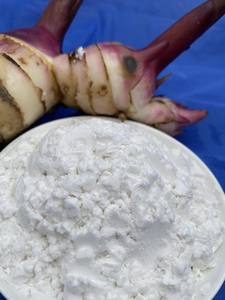 Amidon de manioc vietnamien de haute qualité, sans gluten, épaississant naturel pour la pâtisserie, la cuisine et l'exportation internationale - Product Image 2