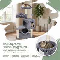 Condo pour chat en bois minimaliste, en kit, montage sans outil, vente en gros
