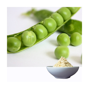 Peptides de protéines de pois bioactifs de qualité supérieure, approvisionnement en vrac, exportation directe usine, additifs - Product Image 4