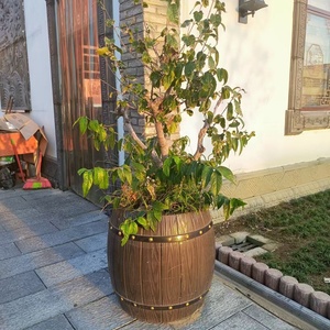 Molde de <span class=keywords><strong>maceta</strong></span> de acero plástico grande de estilo europeo, molde de <span class=keywords><strong>maceta</strong></span> de plástico casero de cemento de hormigón - Product Image 4