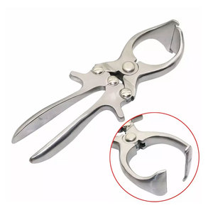 เครื่องมือผ่าตัดสัตว์ คีมตัดอวัยวะเพศสัตว์ สแตนเลส 23 ซม. ขายดี บริการ OEM - Product Image 1