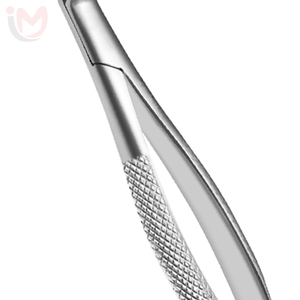 Forceps d'extraction manuels ergonomiques en acier inoxydable, modèle anglais, instruments dentaires - Product Image 4
