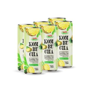 Bebida Fermentada de Maracuyá, Té Espumoso Exótico de Marca Privada, Fabricante Mayorista OEM, Suministro de Bebidas B2B, Líquido a Granel - Product Image 2