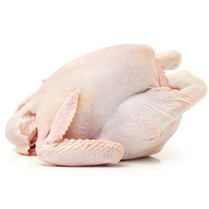 Pollo Congelado Fresco Entero y en Piezas, Calidad Premium, Halal, Pollo Entero Congelado Limpio en Venta - Product Image 2