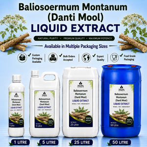 Extrait Liquide de Baliosoermum Montanum Danti Mool, Complément Herbal Naturel Pur, Approvisionnement en Vrac - Product Image 1