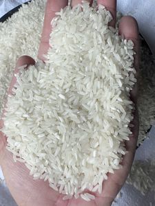 ข้าวขาวเมล็ดสั้น ข้าวหักงอก แห้งแข็ง บรรจุภัณฑ์ปรับแต่งโลโก้ได้ ขายส่ง ผู้ผลิตเวียดนาม ข้าวหอมมะลิ 5% ปลอดจีเอ็มโอ - Product Image 5