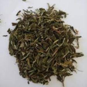 Sadabahar Natural, Materia Prima Herbal para Productos Ayurvédicos, Extractos Botánicos y Formulaciones Tradicionales para el Bienestar - Product Image 2
