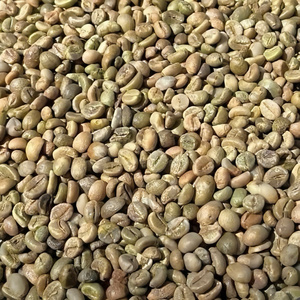 Café Vert 100% Robusta Vietnamien Dak Lak DHPONE Biologique Grade AA Couleur Naturelle Goût Neutre Sans Allergènes Sac de Jute 60kg - Product Image 6