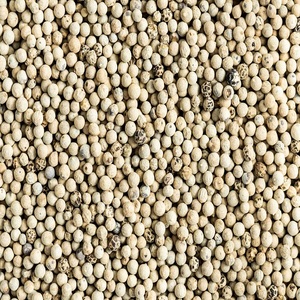 Poivre Blanc Entier Brut Pur en Forme de Cube, Riche en Arôme, Fini Propre, Idéal pour la Cuisine, Fourni Directement du Stock d'Usine - Product Image 4