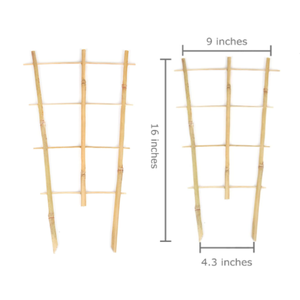 Vente en gros de treillis en bambou en forme d'éventail pour plantes grimpantes d'intérieur, fabriqué au Vietnam - Product Image 2