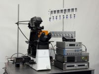 Sistema de perfusión de fármacos programable de múltiples líneas con interfaces de control analógicas y digitales
