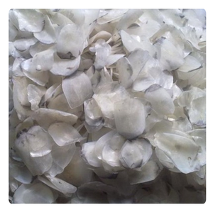 เครื่องชั่งน้ำหนักปลาแห้ง Barramundi พรีเมี่ยมสำหรับการส่งออก | เครื่องชั่งน้ำหนักปลาดิบขายส่ง | จากเวียดนาม - Product Image 5