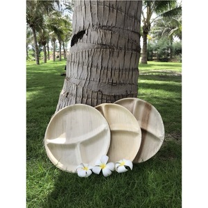 Assiettes plates rectangulaires en bois, solides, minimalistes, écologiques, pour un usage quotidien - Product Image 3