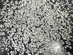 Jasmin-Weißreis - die beste Qualität für den kanadischen Markt - Milagrosa - Gao Thom Thuong Hang Malaket - Product Image 6