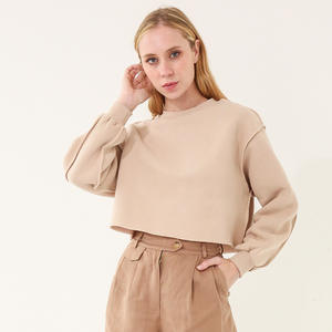 เสื้อฮู้ดผ้ากำมะหยี่ HG875 แบบเรียบยาวสั่งทำได้ ขายส่งสำหรับผู้หญิง ขอบตัดดิบ 100% ผ้าฝ้าย สไตล์สตรีทแวร์ - Product Image 4