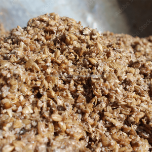 Grano Seco de Cerveza – Fuente Rentable de Proteína, Fibra y Energía para Alimentación Animal - Product Image 4