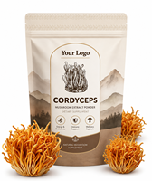 Qidan OEM Label Cordyceps Militaris Extract 30% Beta-D-Glucan Poeder Premium Vruchtvormende Lichaamsstof Wateroplosbaar voor Uithoudingsvermogen