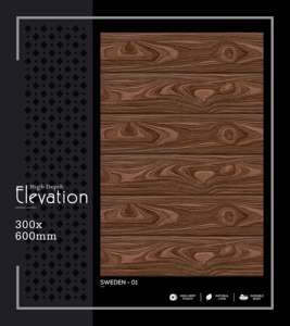 Azulejo de Porcelana de Alta Gama para Pared, 300x600mm, 30x60cm, 12x24, Acabado Mate, Texturizado, Decorativo para Interiores - Product Image 3