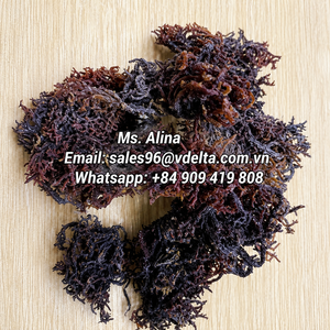 สาหร่ายมอสสีม่วงแห้งและสาหร่ายมอสสีม่วงผสมเกลือจากเวียดนาม/ คุณอลีนา - Product Image 4