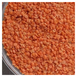 Meilleur prix d'usine pour les lentilles rouges biologiques naturelles / lentilles rouges décortiquées, disponibles en grande quantité - Product Image 6