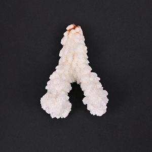 Coral blanc naturel, pierre précieuse brute, 124 carats, irrégulière, 64x39 mm, pierre brute pour la fabrication de bijoux |   1 pièce - Product Image 1