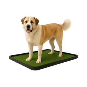 Almohadilla de hierba para orinal de lujo para perros, sensación de hierba real, sin olor, duradera y perfecta para entrenamiento en interiores y exteriores - Product Image 1